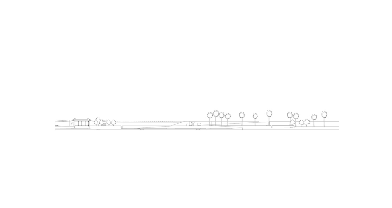 MUELLE_SAL_B