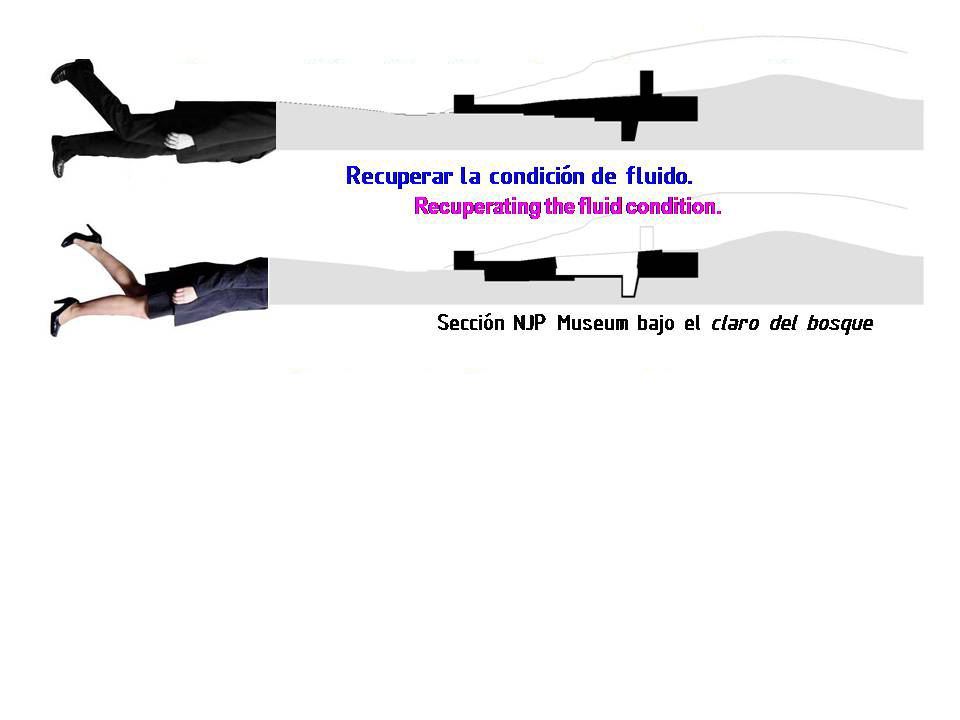 Diapositiva12