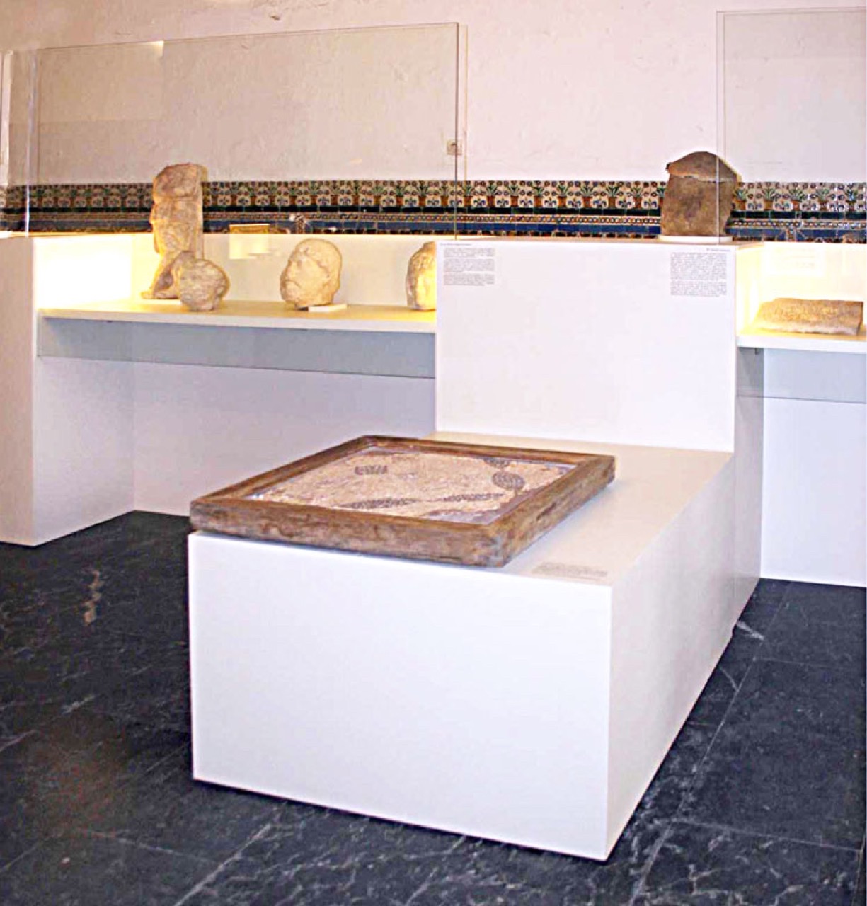 1512_Un_Museo_Universidad_06